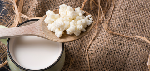 the-raw-superstore-kefir-probiotics-digestive-support