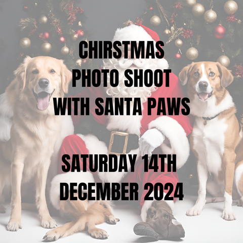 Christmas Photo Shoot with Santa Paws