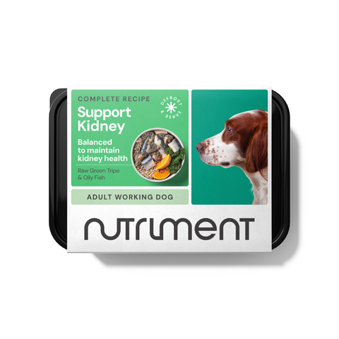 the-raw-superstore-nutriment-kidney-support